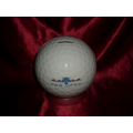 Golf Ball Autographable Bank